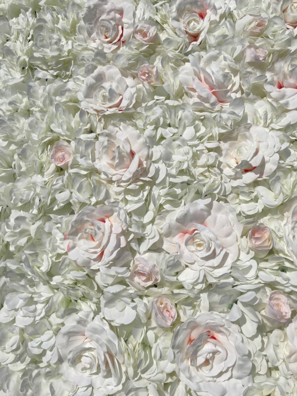Blush Flower Wall