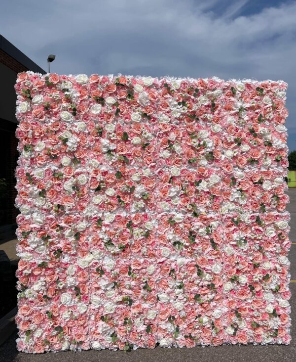 Fancy Pink - Image 2